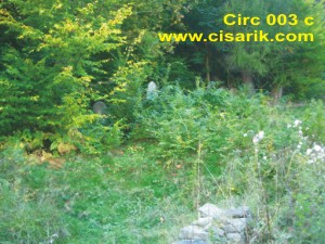 go to the village page
